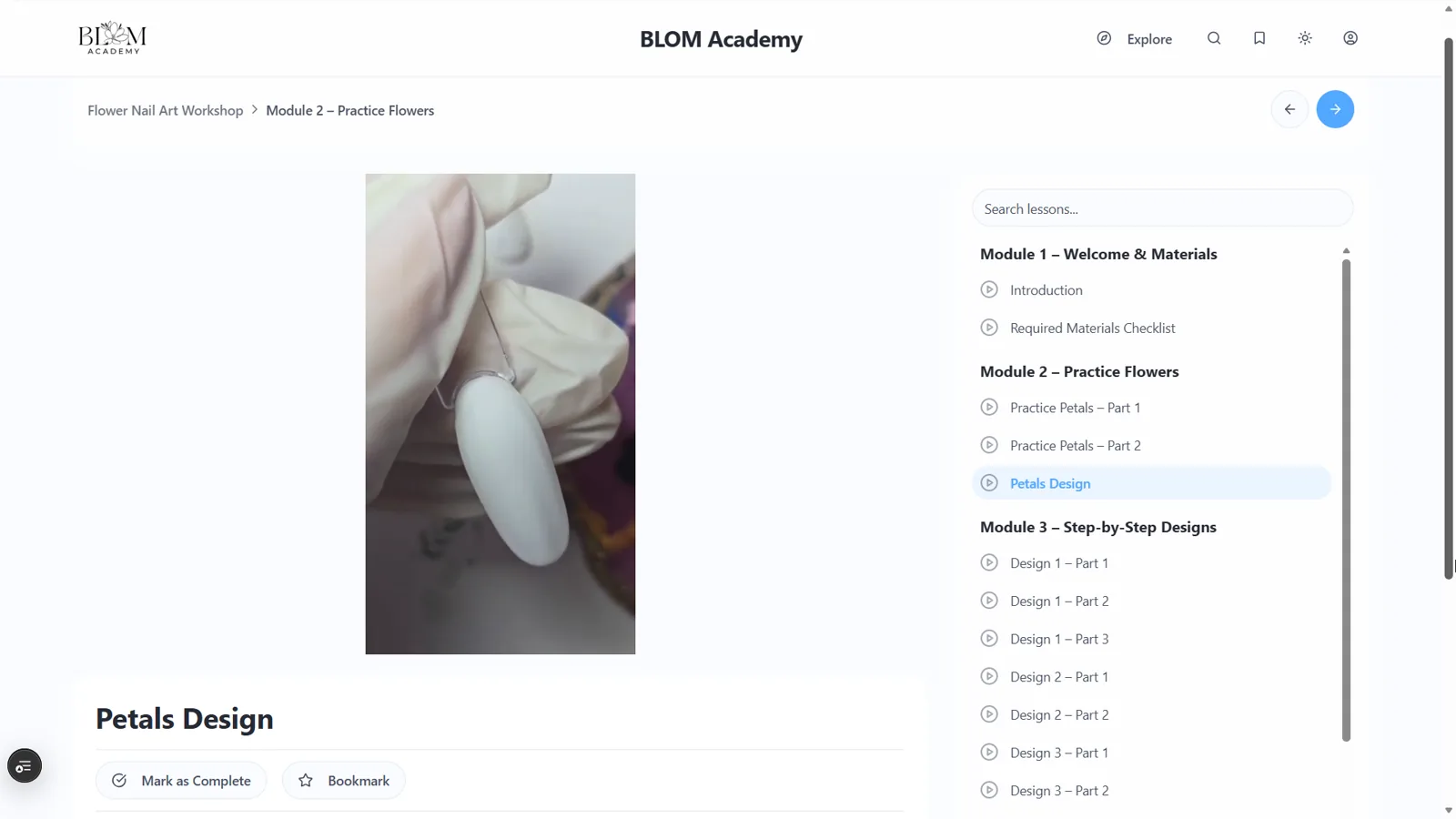 BLOM Academy lesson player with course content